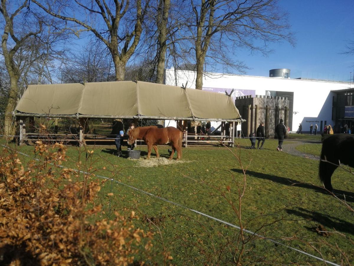 Woody B&B Jelling Exterior photo